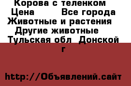 Корова с теленком › Цена ­ 69 - Все города Животные и растения » Другие животные   . Тульская обл.,Донской г.